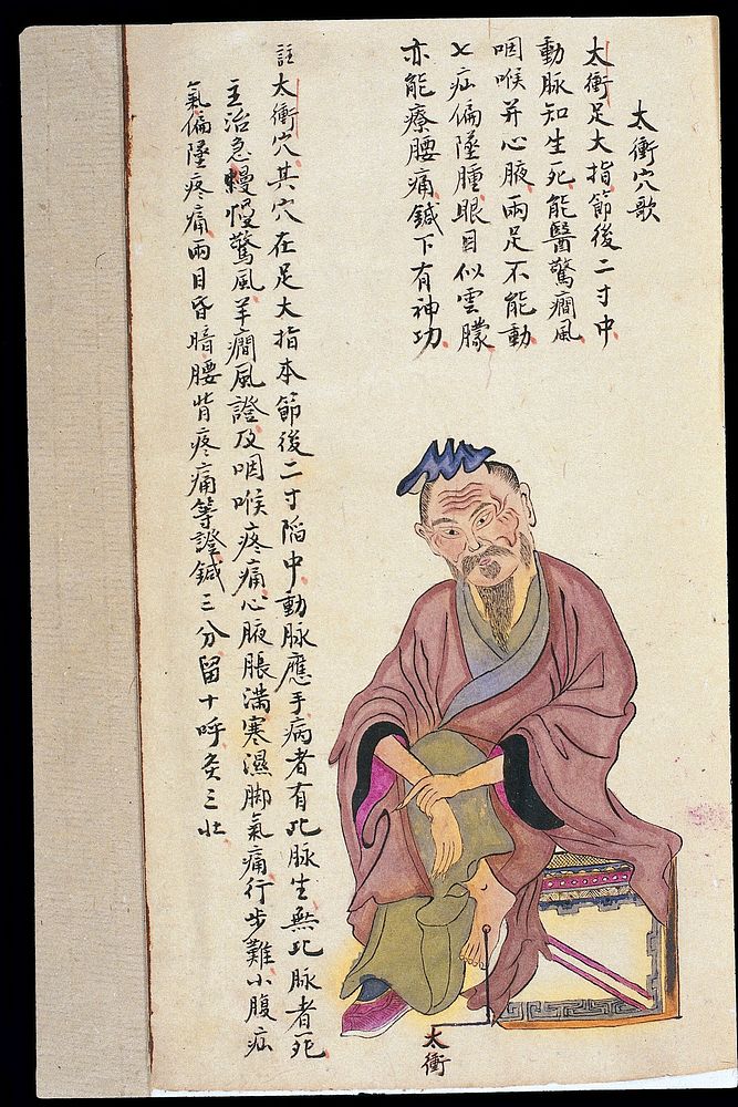 C19 Chinese MS moxibustion point chart: Taichong