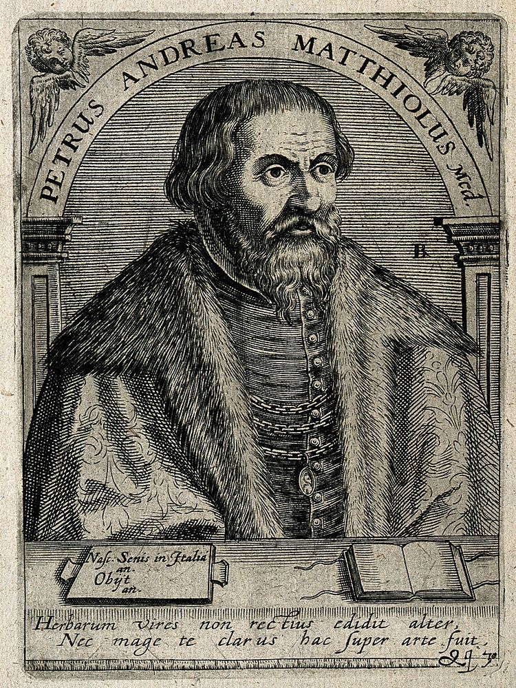 Pietro Andrea Mattioli. Line engraving by T. de Bry after C. Papi dell'Altissimo.