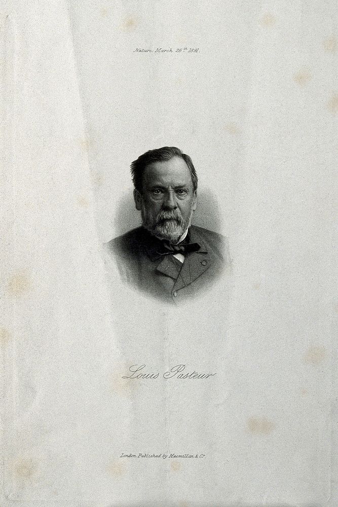 Louis Pasteur. Etching, 1891, after Nadar.