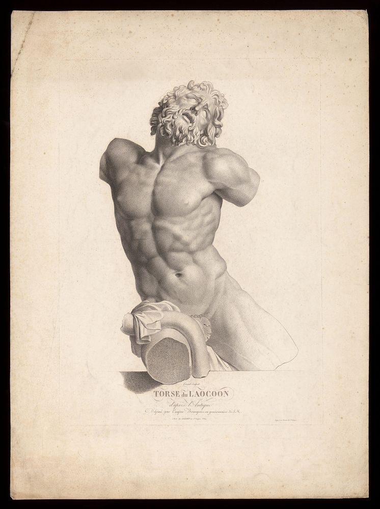 The torso of Laocoon. Crayon manner print by A.F. Girard, 1820, after Eugène Bourgeois after Agesander.