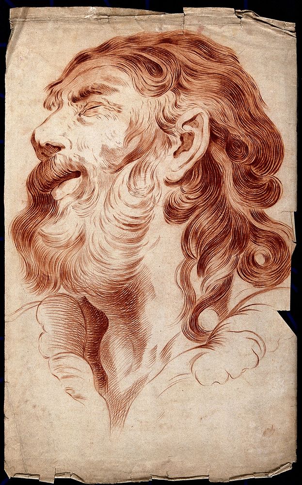 The head of a bearded elderly man with closed eyes. Chalk drawing.