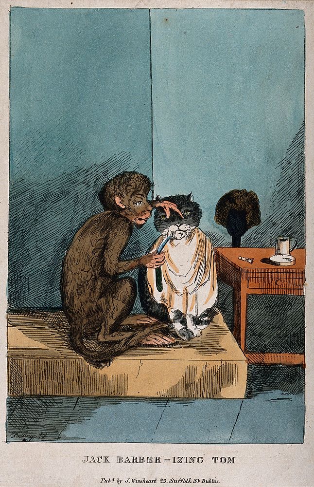 A monkey shaving a cat's whiskers. Coloured etching by E. Keatinge.
