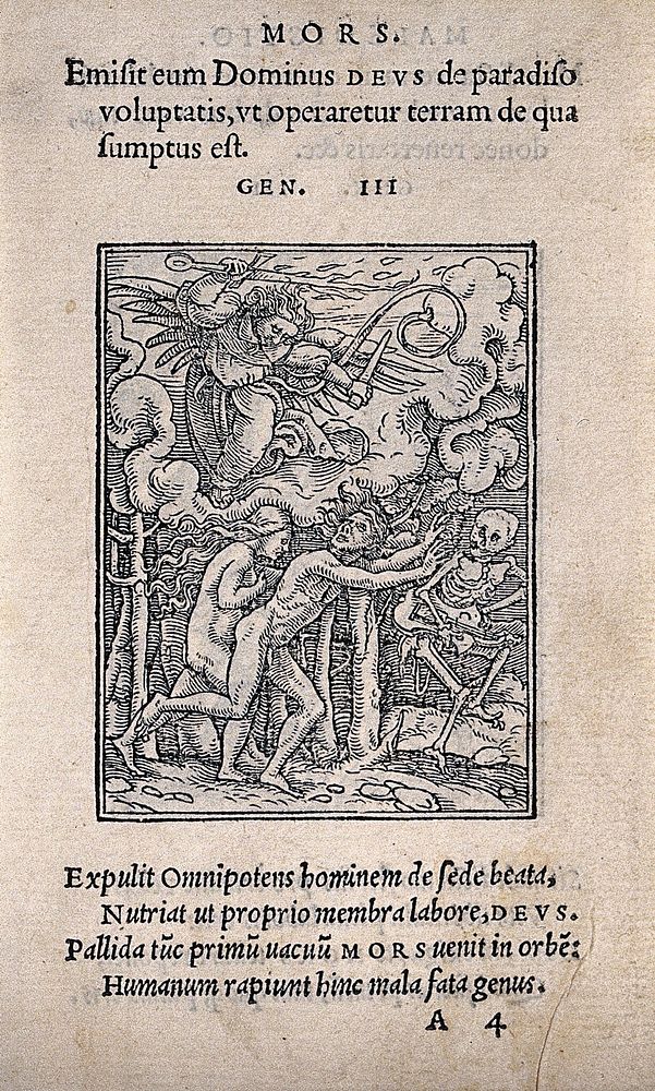 The dance of death: the expulsion from paradise. Woodcut by Hans Holbein the younger.