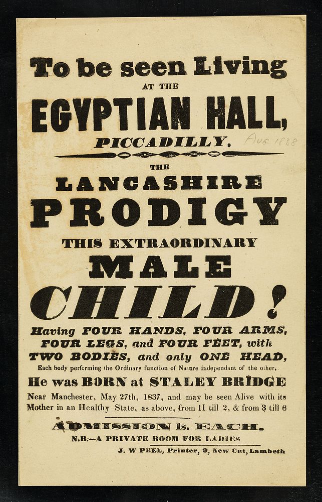 [Leaflet advertising appearances by The Lancashire Prodigy, a male child with 2 bodies and 1 head at the Egyptian Hall…
