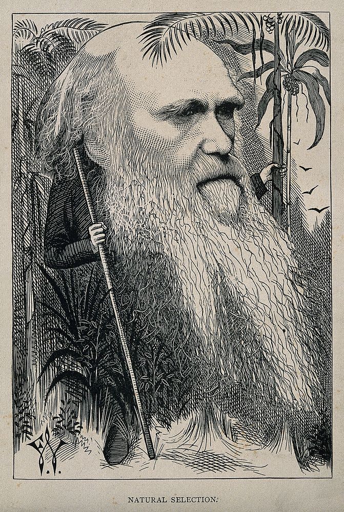 Charles Robert Darwin. Wood engraving by F. Waddy, 1873.