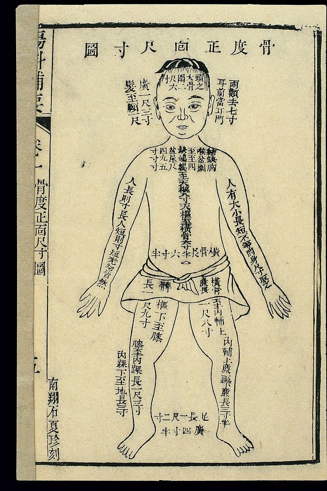 Chinese woodcut: Bone measurements - front of the body