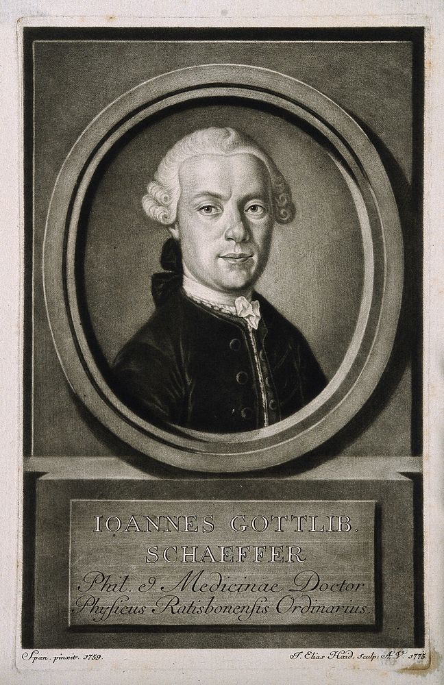Johann Gottlieb Schaeffer. Mezzotint by J. E. Haid, 1775, after [F. X.] Span, 1759.