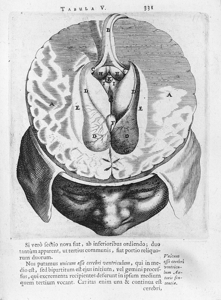 Anatomia, ex Caspari Bartolini parentis Institutionibus, omniumque recentiorum et propriis observationibus tertiùm ad…