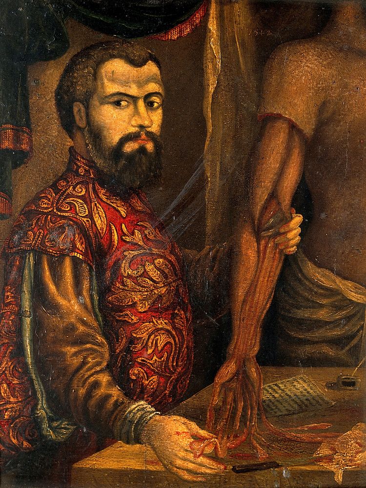 Andreas Vesalius. Oil painting after a woodcut.