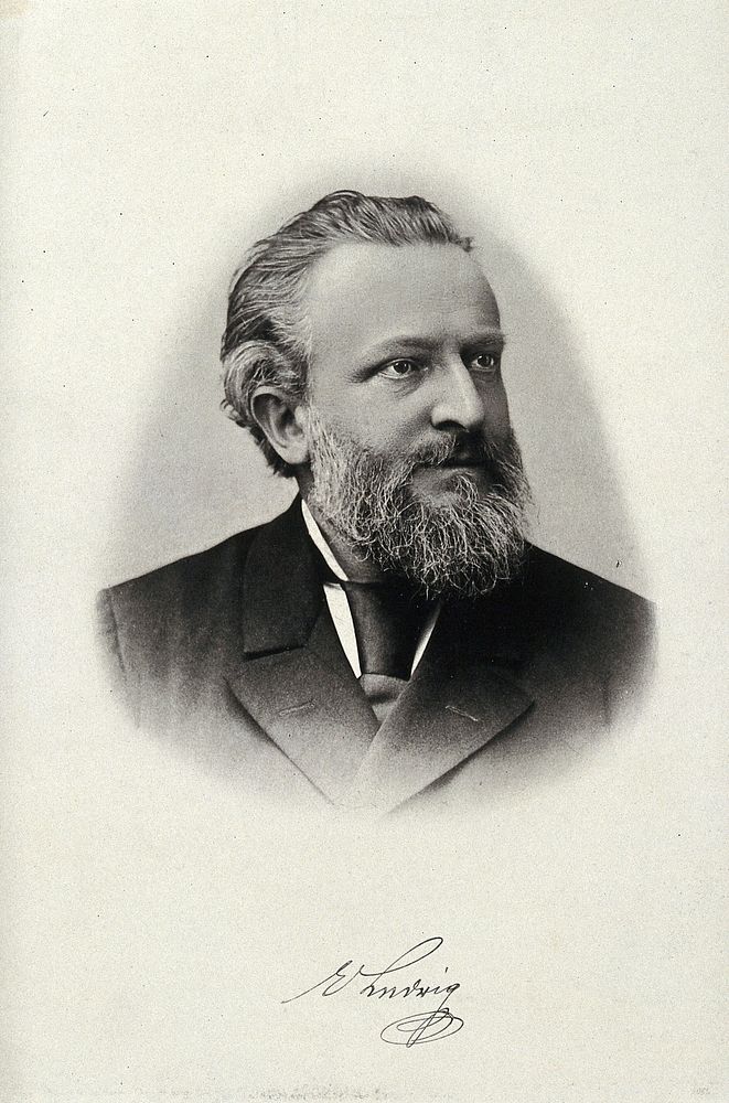 Ernst  Ludwig. Photogravure.