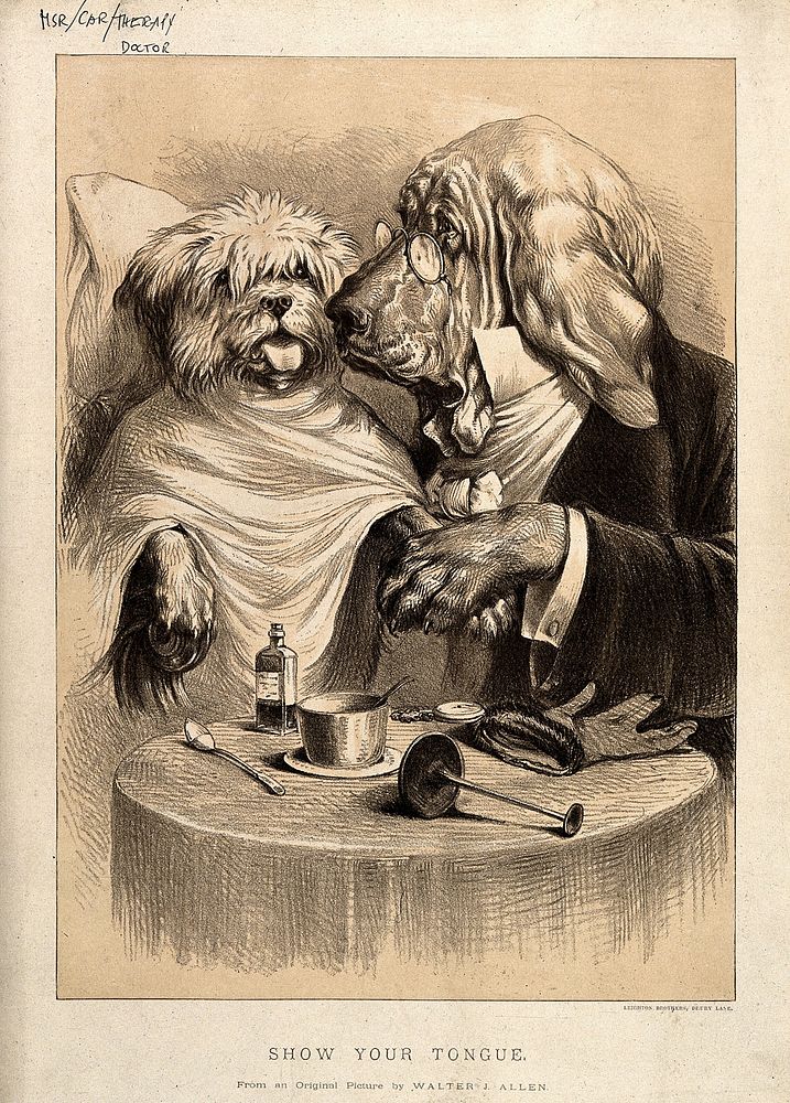 A doctor examining his patient; represented by a bloodhound with a terrier. Lithograph after W.J. Allen.