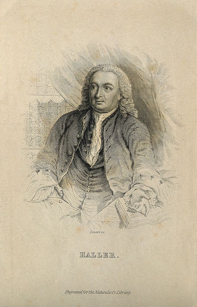 Baron Albrecht von Haller. Line engraving by W. H. Lizars.