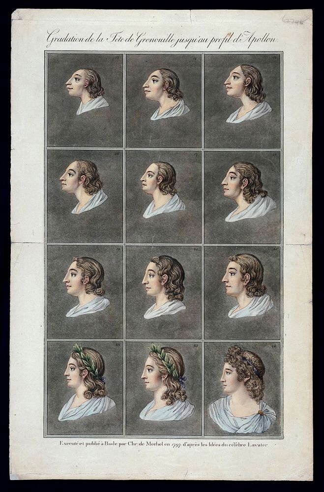 Twelve stages in the sequence from the head of a primitive man to the head of the Apollo Belvedere. Coloured etchings by…