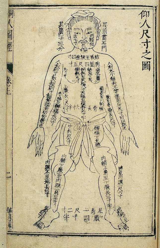 Body measurements, front view, Chinese woodcut, 1443