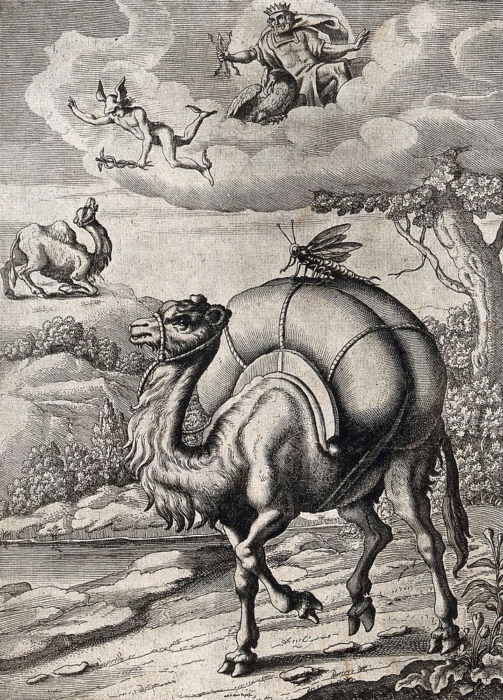 Above, a dromedary is kneeling before a god in the clouds, out of which Mercury is descending, below, a dromedary is…