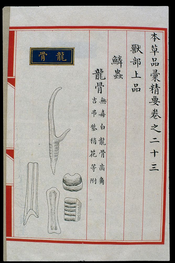 Chinese Materia Medica illustration, Ming: Dragon bone