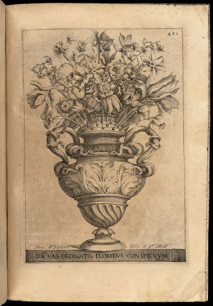 Flora ouero cvltvra di fiori del / p. Gio. Battista Ferrari ... Distinta in quattro libri e trasportata dalla lingua latina…
