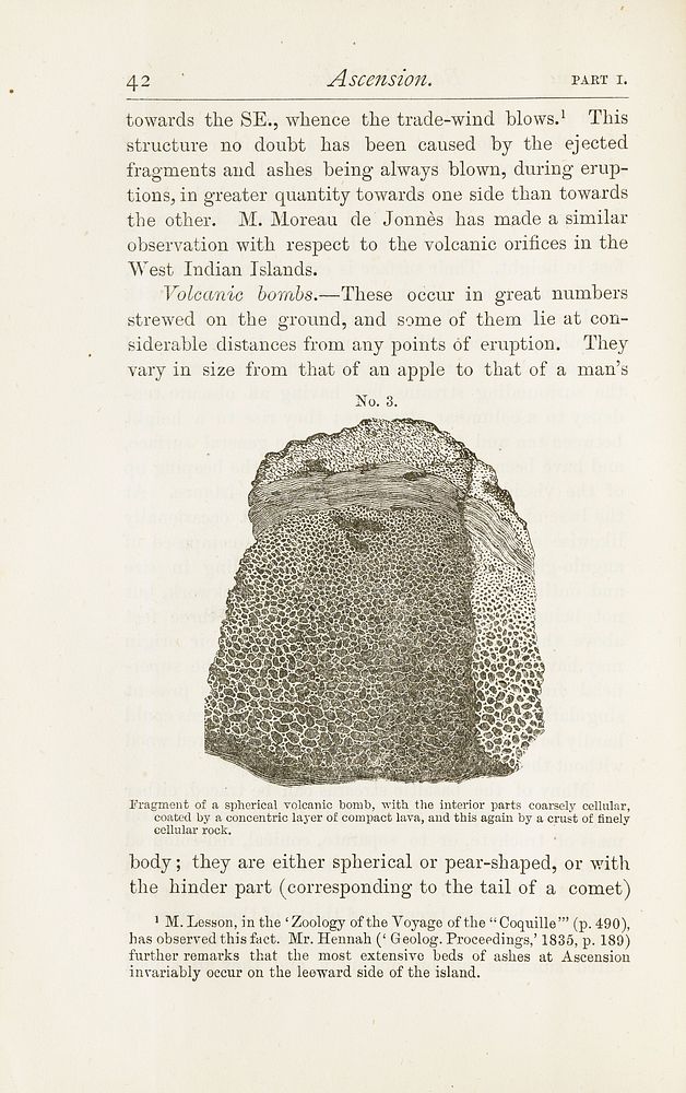 Illustration of a fragment of a spherical volcanic bomb.