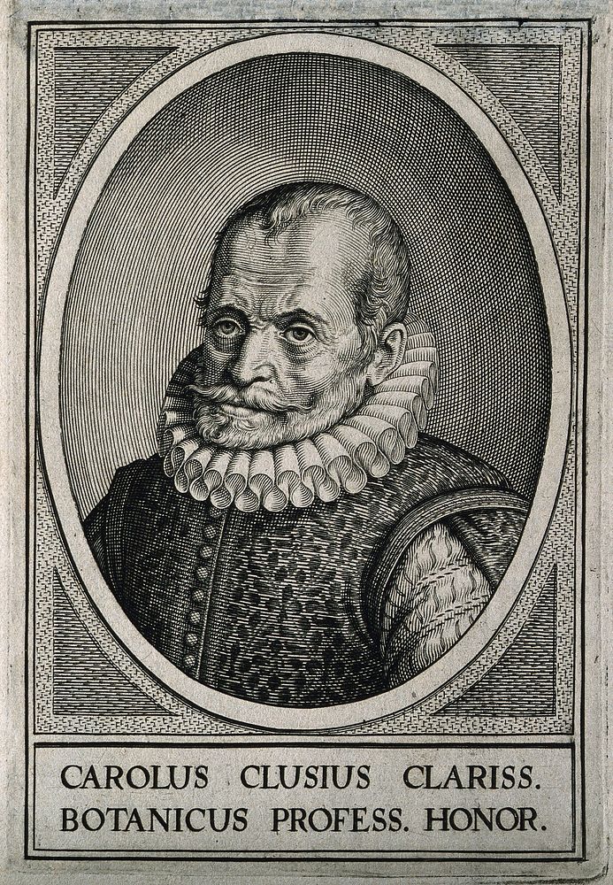 Charles de l'Ecluse [Clusius]. Line engraving by W. Swanenburgh, 1609, after J. de Gheyn, 1601.