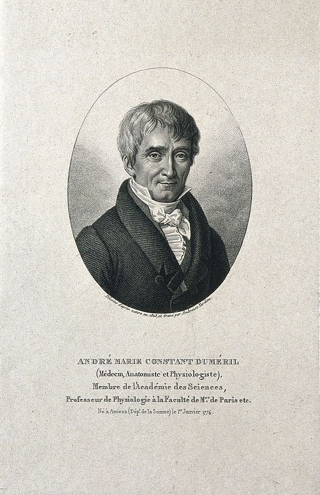 André-Marie-Constant Duméril. Stipple engraving by A. Tardieu, 1825, after himself.