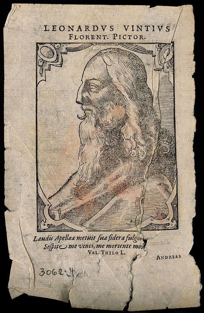 Leonardo da Vinci. Woodcut by T. Stimmer, 1589, after L. da Vinci.