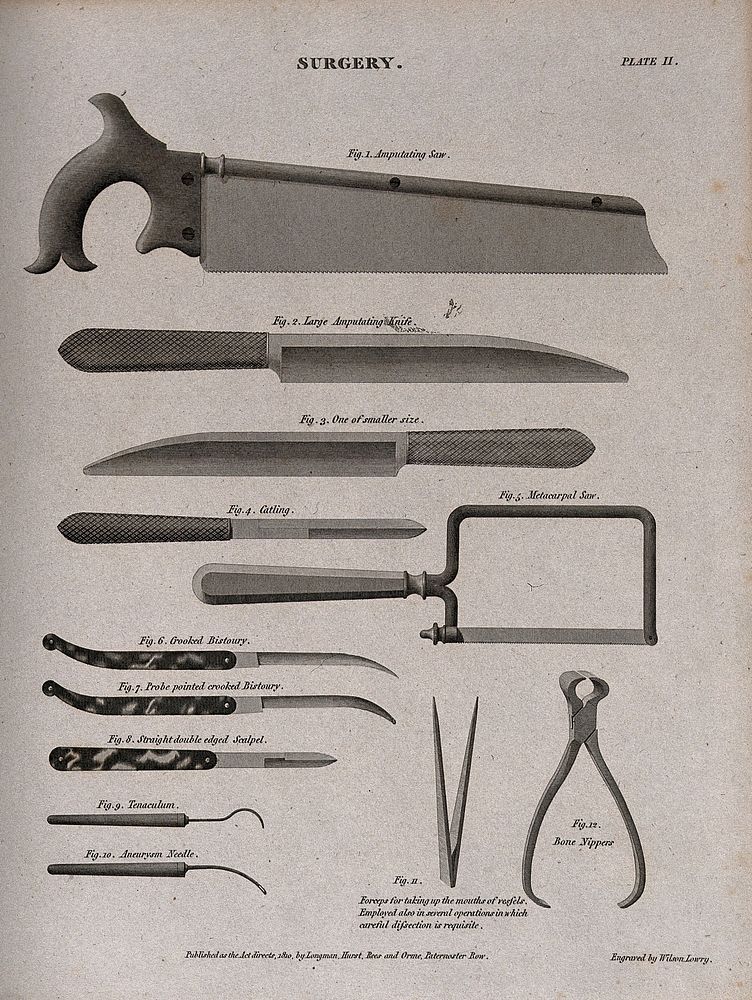 Surgical instruments, including an amputating saw, an amputating knife, scalpels and bone nippers. Engraving by Wilson…
