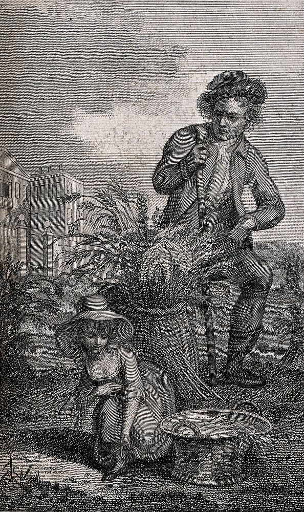 A farmer is watching a poor girl who is picking up small ears of corn; in the background is an expensive country house.…
