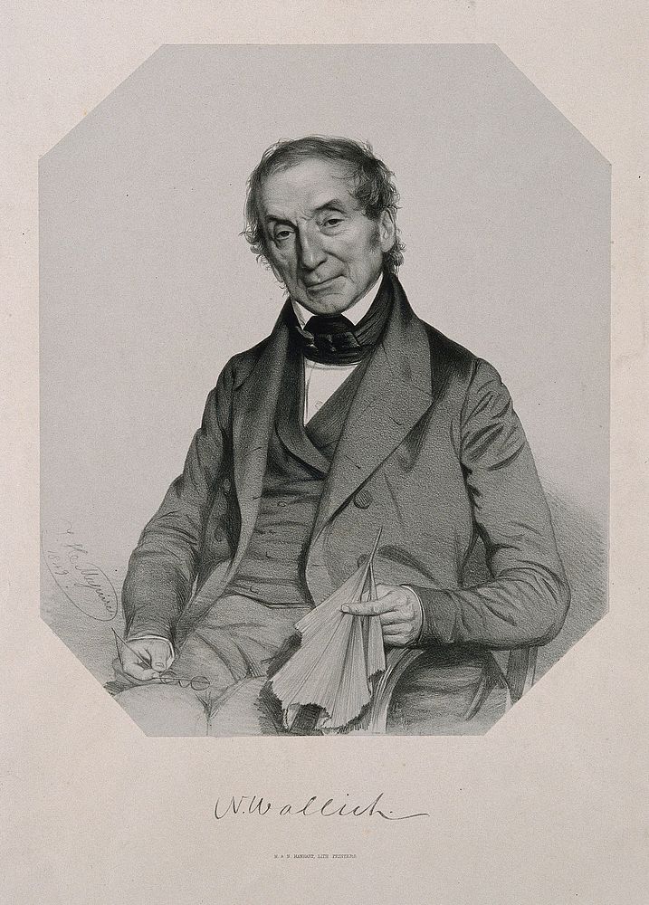 Nathaniel Wallich. Lithograph by T. H. Maguire, 1849.