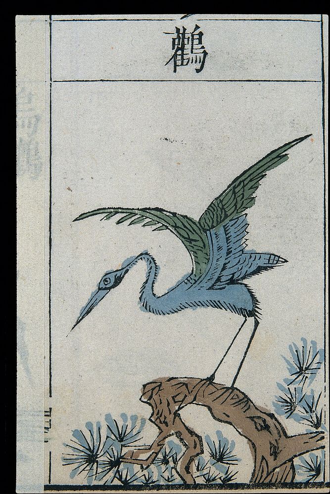 Ming herbal (painting): Stork