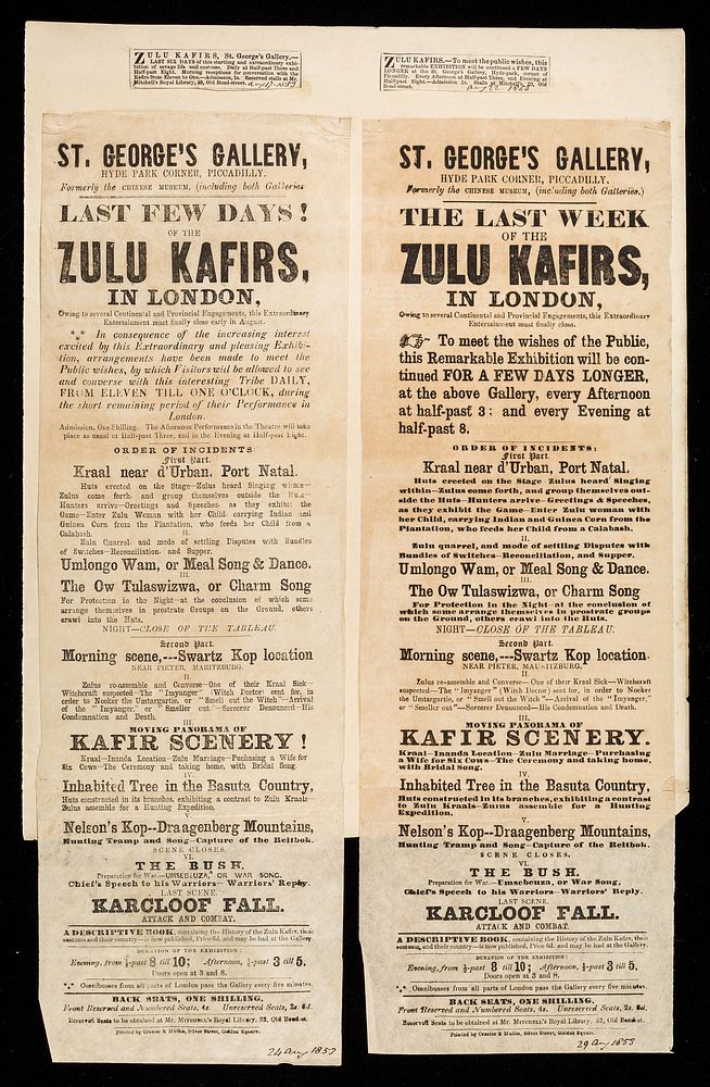 Zulu Kafirs, St. George's Gallery ...