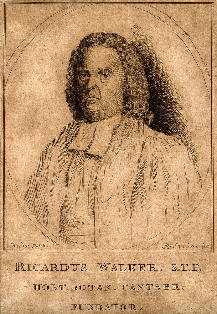 Richard Walker. Etching by P. S. Lambourn, 1771, after J.T. Heins.