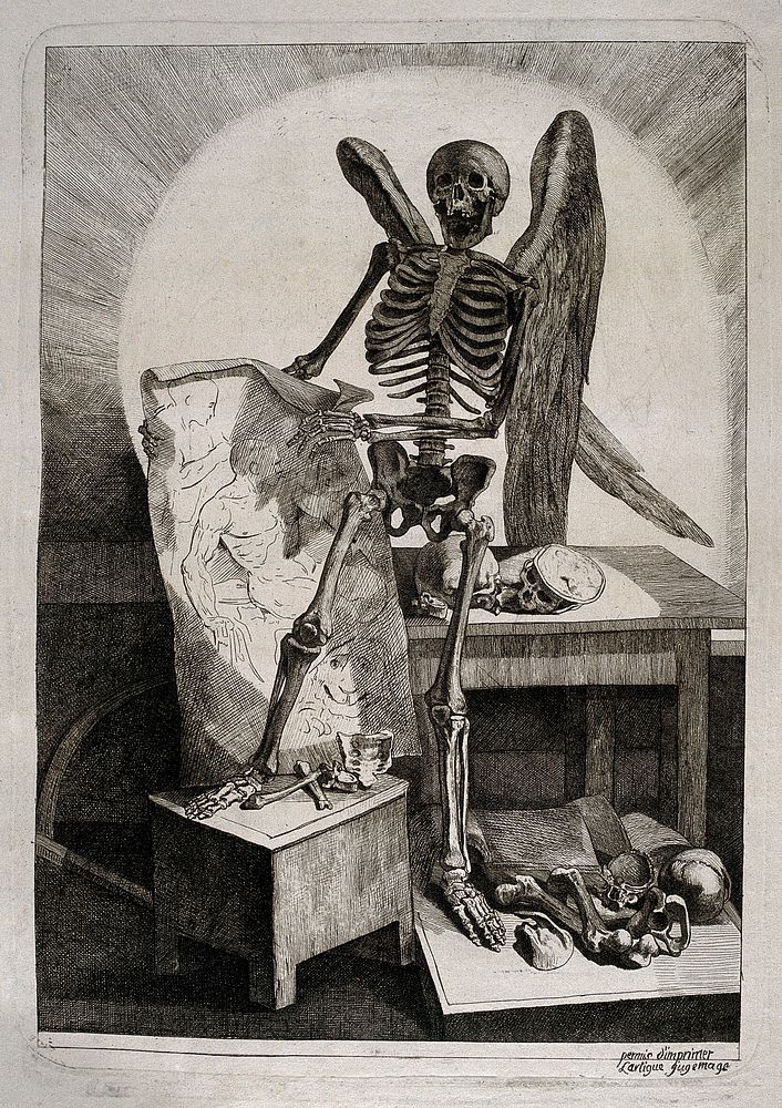 A winged skeleton holding a drawing of a seated model, with human bones and skulls on the table and floor beside him.…