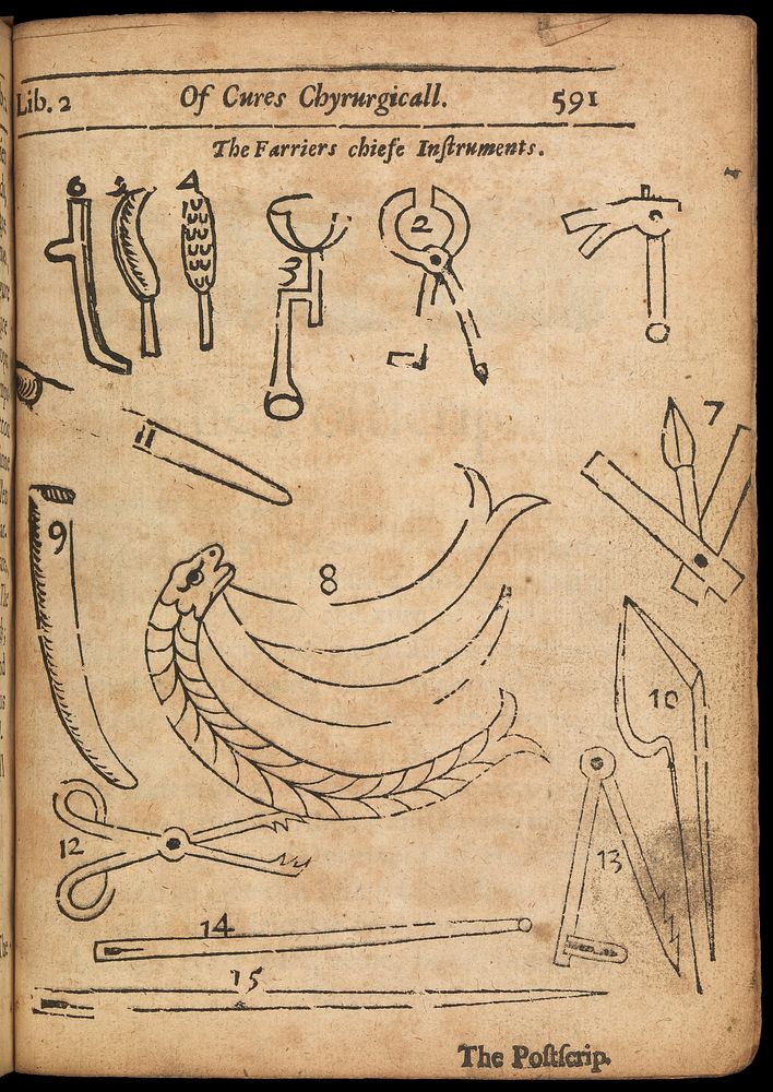 'The farriers chiefe instruments'.