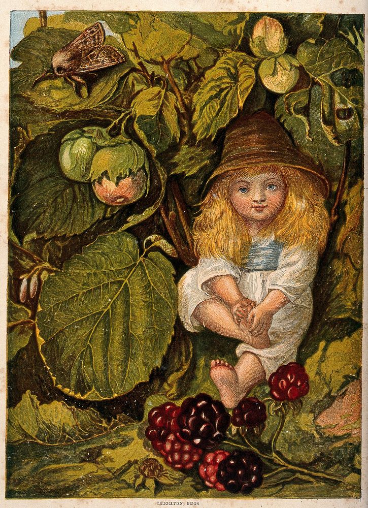 An elf-like child sits amidst leaves, nuts and fruit. Chromolithograph.