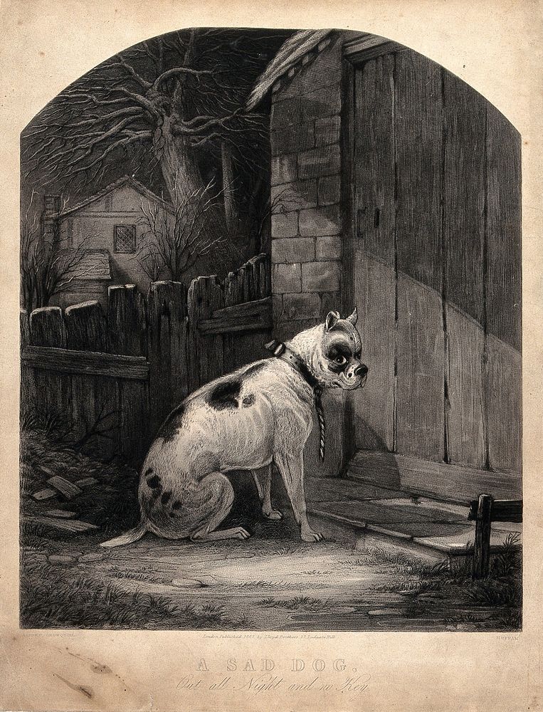 A dog sitting outside a locked door. Mezzotint by Huffam, 1847, after A. Crowquill.
