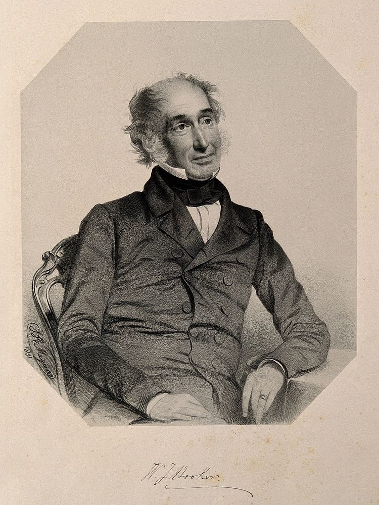 Sir William Jackson Hooker. Lithograph by T. H. Maguire, 1851.