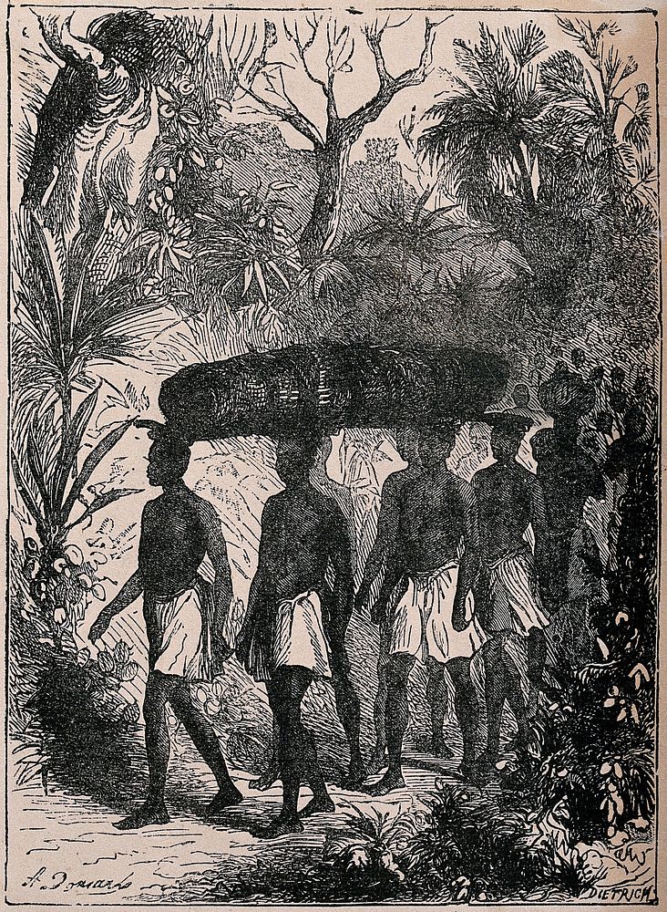 Africans carrying the body of the deceased David Livingstone in 1873. Wood engraving by Dietrichs.