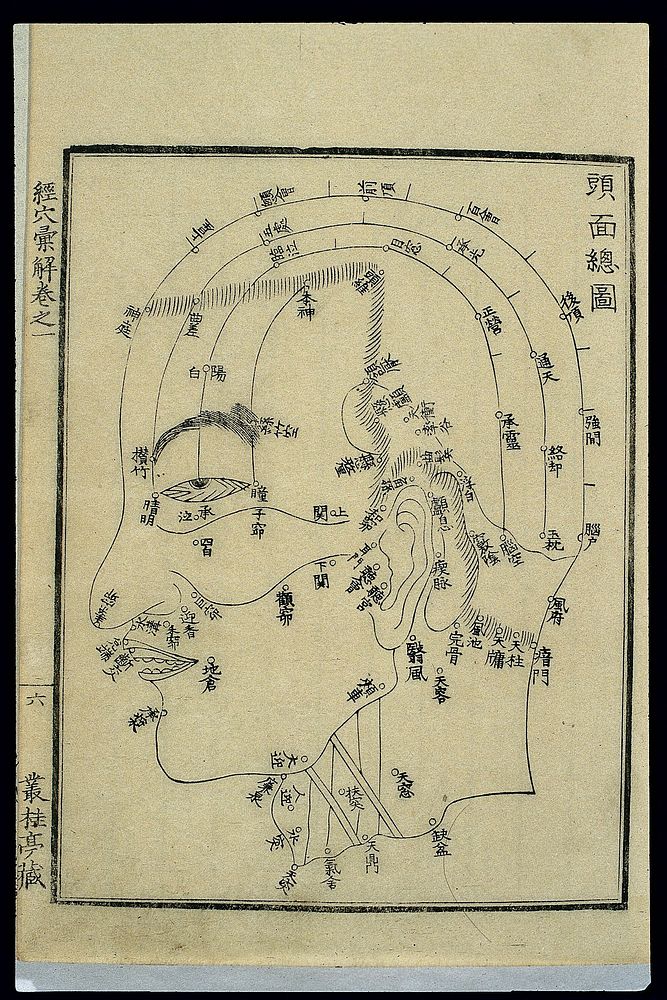 Acu-moxa chart: points of the head and face, Japanese woodcut