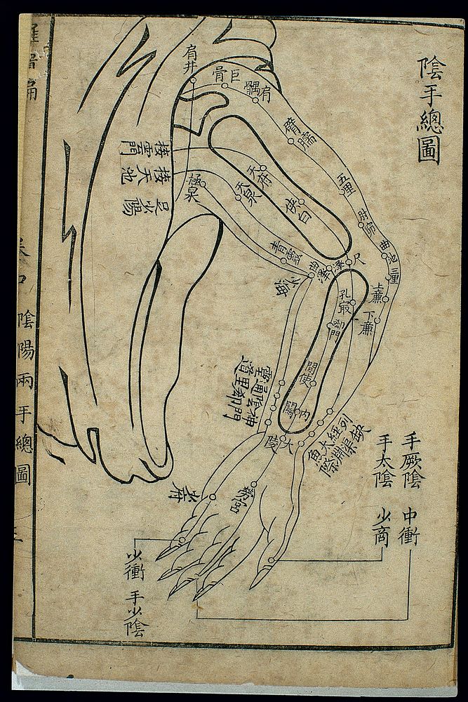 Three hand yin channels and their acupoints, general chart