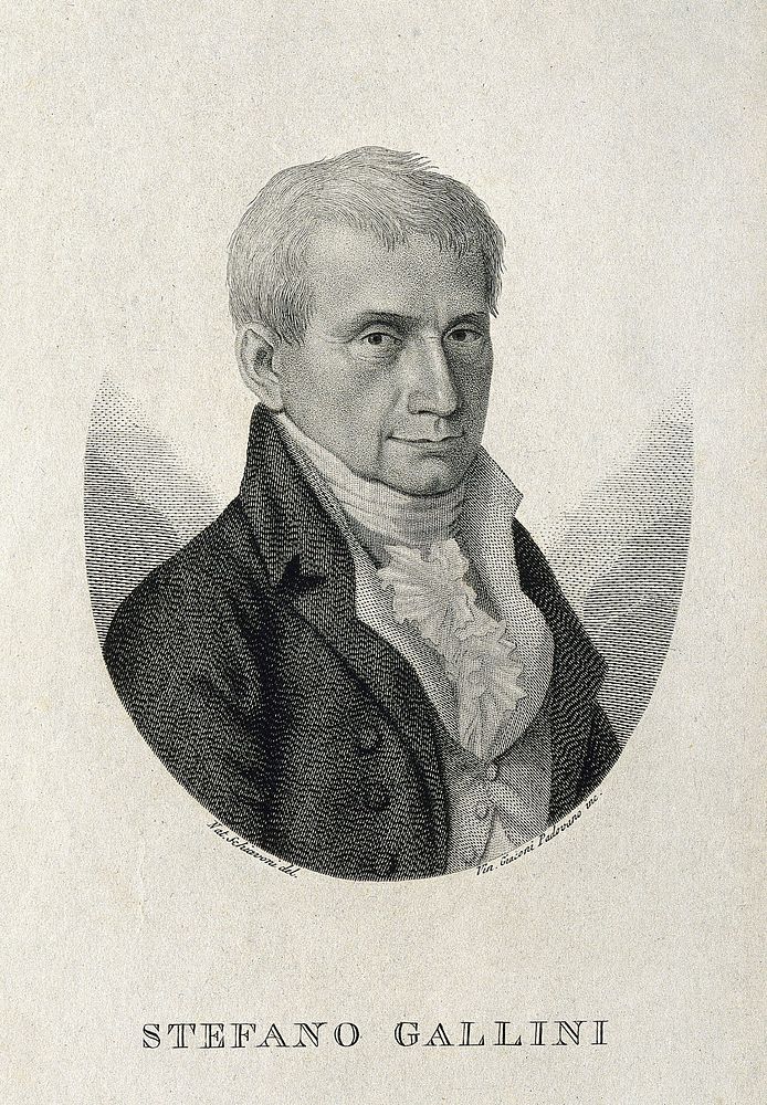 Stefano Gallini. Line engraving by V. C. Padovano after N. Schiavoni.