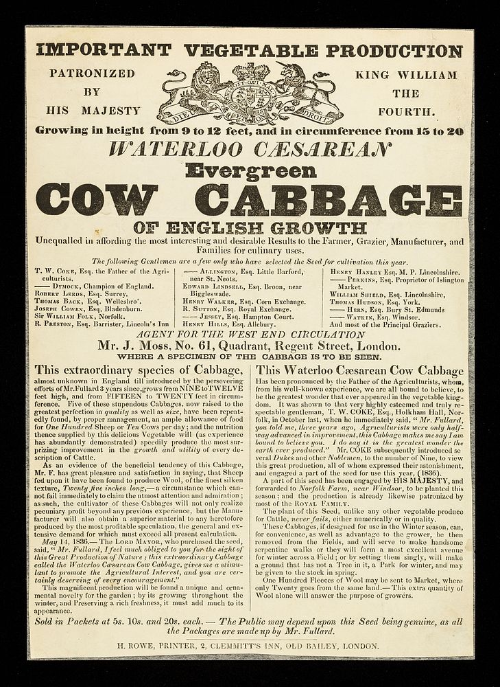 Waterloo caesarean evergreen cabbage of English growth... / agent for the west end circulation, J. Moss.