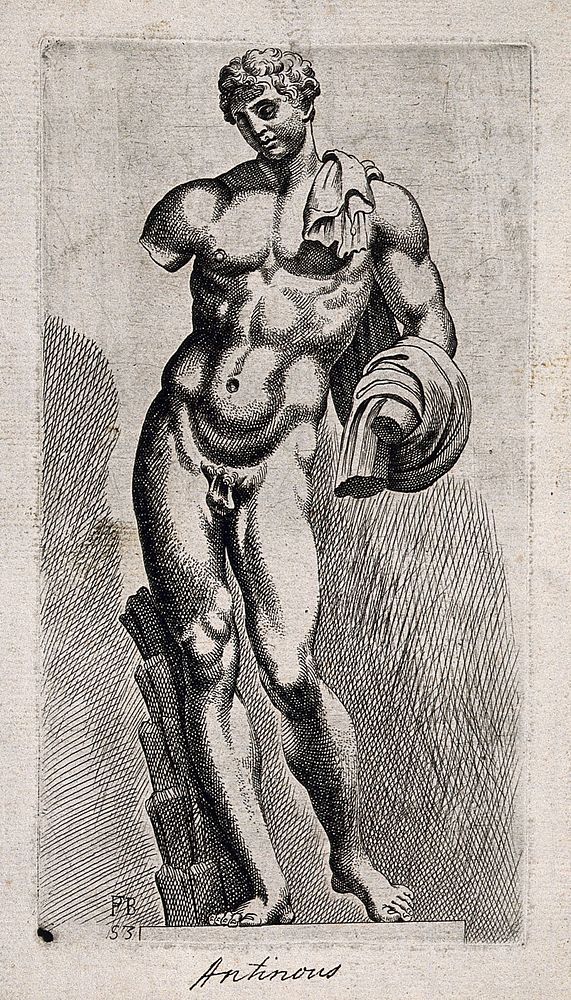 Antinous. Etching by F. Perrier.