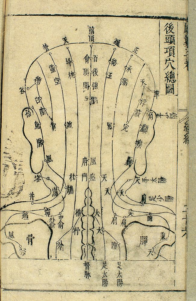 Acupuncture chart of back of head, 17th C. Chinese woodblock