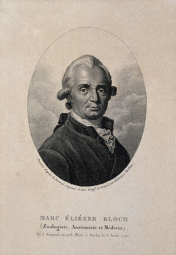 Marc Eliézier Bloch. Stipple engraving by A. Tardieu after A. Graff.