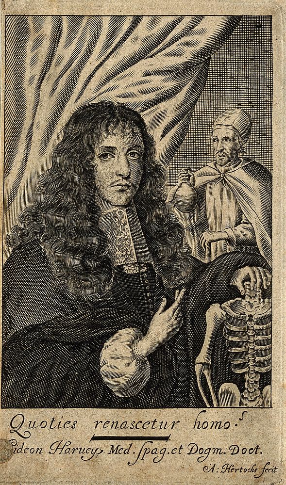 Gideon Harvey. Line engraving by A. Hertocks, 1672.
