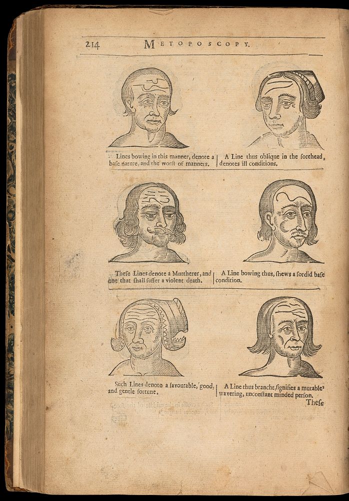 Physiognomie, and chiromancie, metoposcopie, The symmetrical proportions and signal moles of the body : fully and accurately…