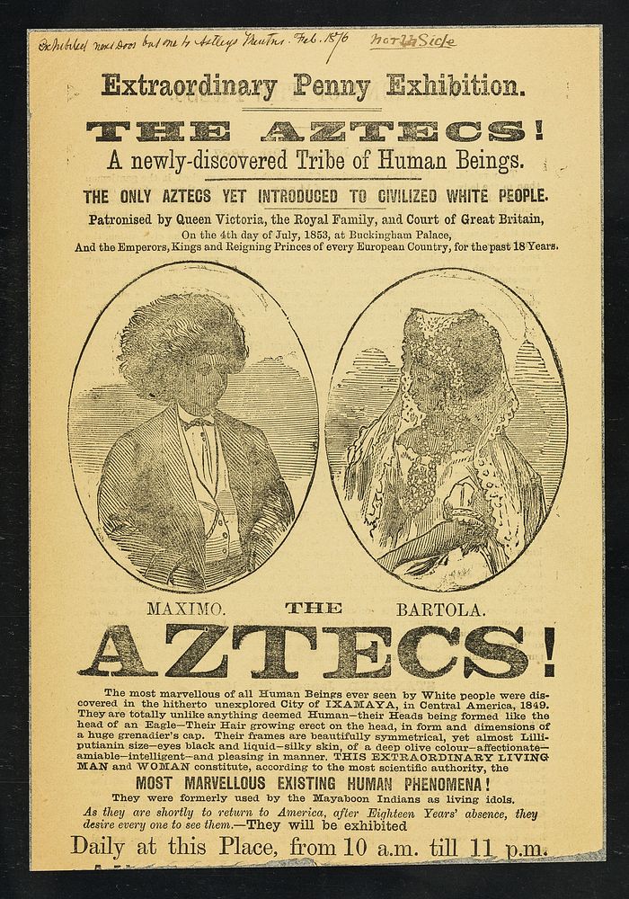 [Undated (1876) illustrated handbill advertising an exhibition of Maximo and Bartola, the Aztec Lilliputians from Iximaya in…
