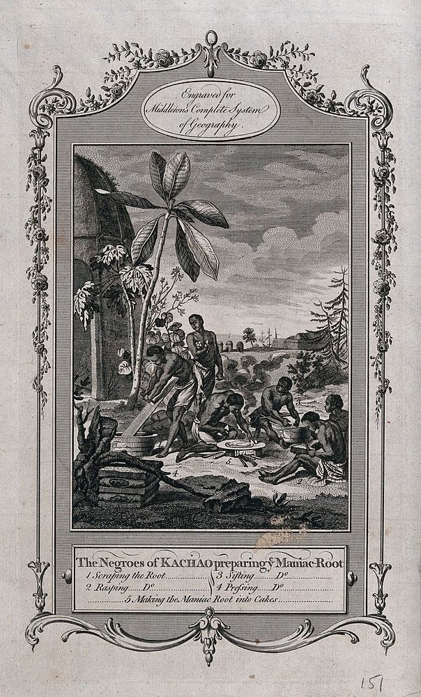 Cacheu, Guinea-Bissau: workers preparing cakes from manioc root, within a decorative border. Engraving, c. 1777.