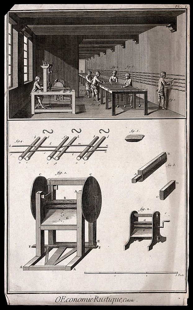 Textiles: carding and spinning of cotton. Engraving.