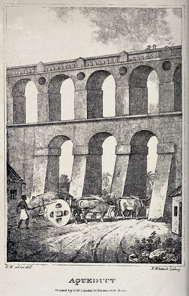 The Carioca aqueduct, Rio de Janeiro. Lithograph by N. Whittock, 1830, after R. Walsh.